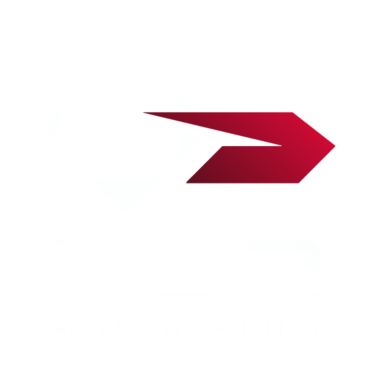 Логотип FBR